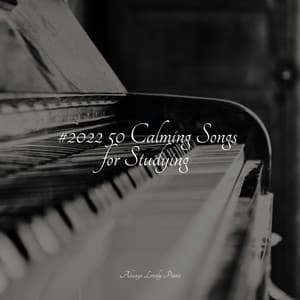 Calm Music for Complete Stress Relief - Relaxed Minds