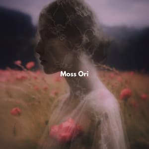 Eco del Musgo - Moss Ori