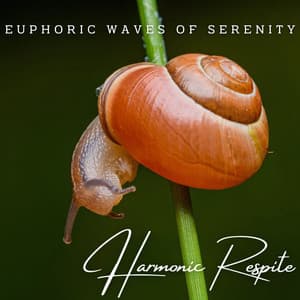 Harmonic Respite: Meditative Piano for Spa Bliss - Classical New Age Piano Music