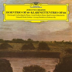 Brahms: Horntrio; Klarinettentrio - Johannes Brahms