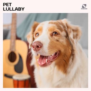 Pet Lullaby - Pet Music Maestro