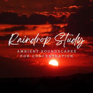 Raindrop Study: Ambient Soundscapes for Concentration - Rain Studios