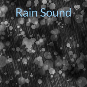 Rain Sound - Rain Sound