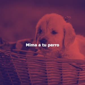 Mima a tu perro - Saturday Morning Jazz Playlist