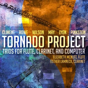 Tornado Project - Esther Lamneck