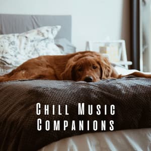 Chill Music Companions: Serene Melodies for Dogs - Doggy Music Radio