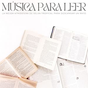 Música Para Leer: La Mejor Atmósfera De Selva Tropical Para Descansar Un Rato - Musica Para Leer