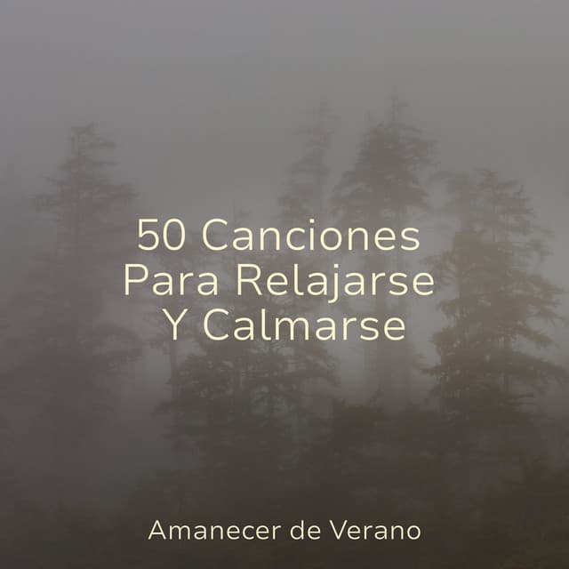 50 Canciones Para Relajarse Y Calmarse - Massage Therapy Music