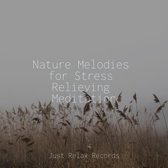 Nature Melodies for Stress Relieving Meditation - Schlaflieder Für Kinder