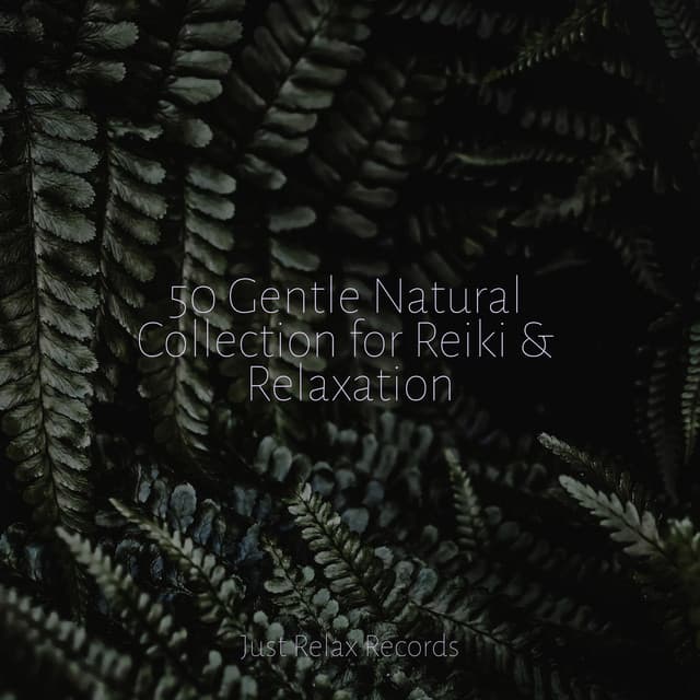 50 Gentle Natural Collection for Reiki & Relaxation - Nursery Rhymes Club