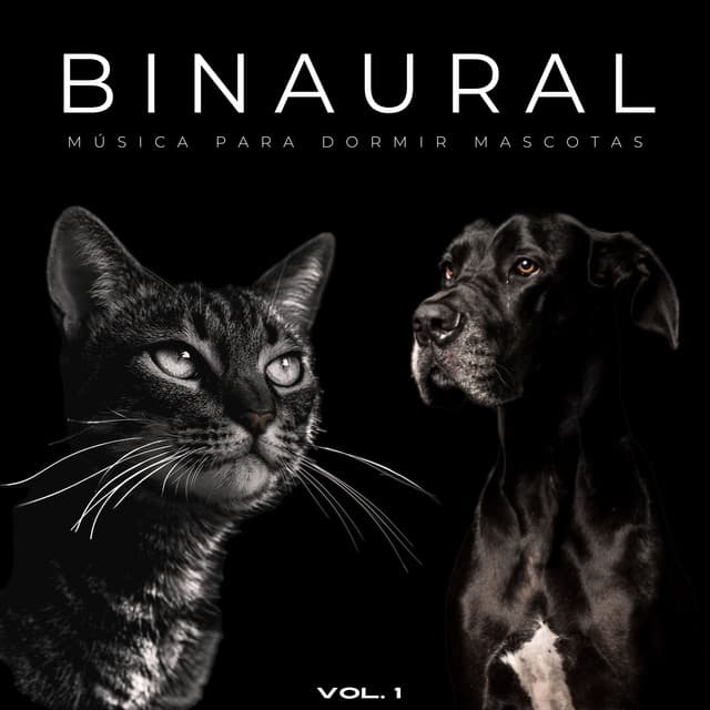 Binaural: Música Para Dormir Mascotas Vol. 1 - Investigación de ritmos binaurales