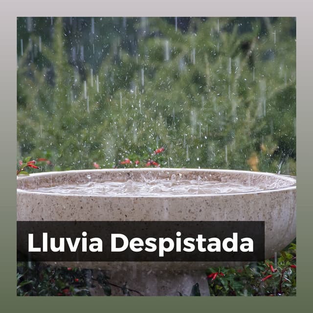 Lluvia Despistada - Sonidos De Lluvia