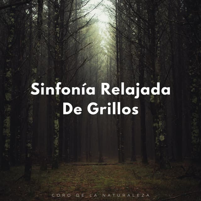 Sinfonía Relajada De Grillos: Coro De La Naturaleza - Canciones de la naturaleza Música de la naturaleza