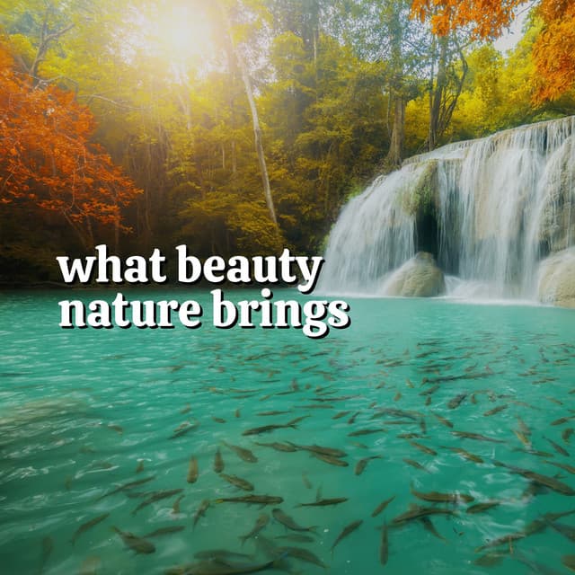 What Beauty Nature Brings - Soothing Waterfalls