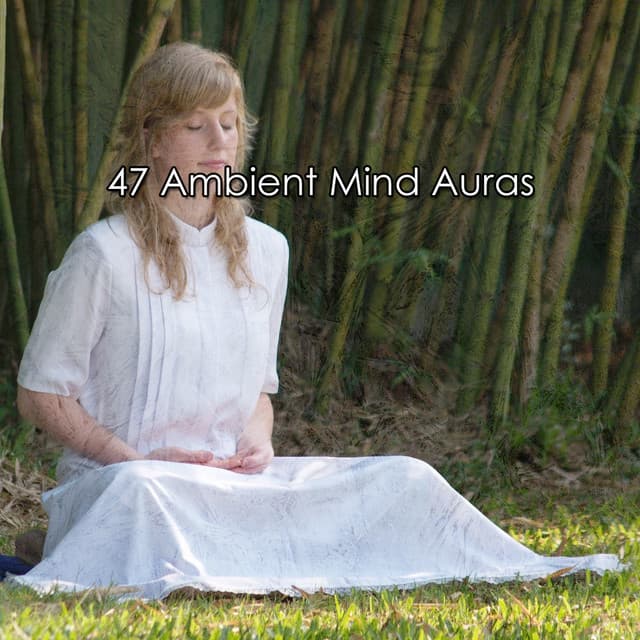 47 Ambient Mind Auras - Spiritual Fitness Music