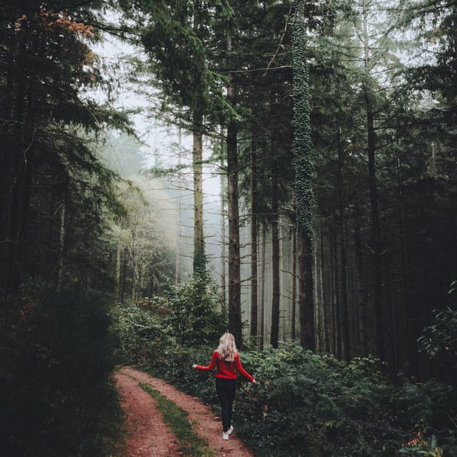 Sounds of machine for deep sleep - Sleep Noise Machine