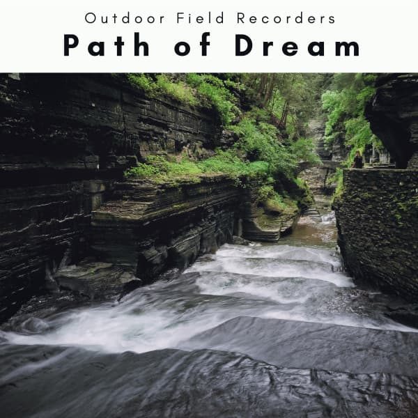 A Path of Dream - Outdoor Field Recorders