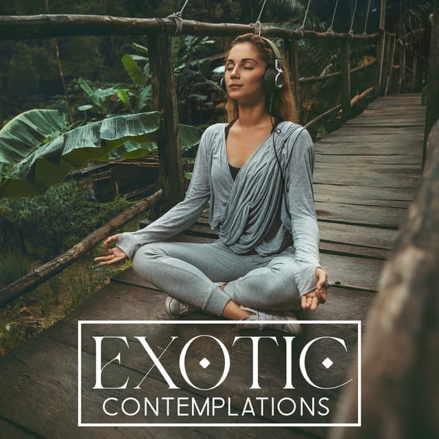 Exotic Contemplations - Exotic Nature Kingdom