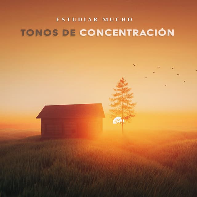 Tonos De Concentración - Estudiar Mucho