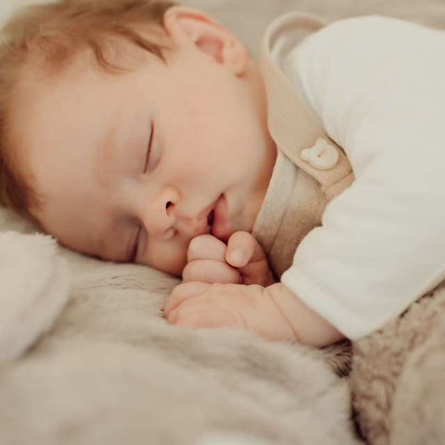 Hush-a-Bye Harmony: Dreamy Music for Babies - Teddy Tiger Tunes