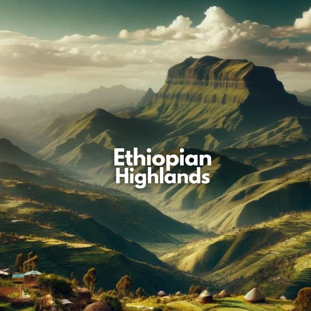 Ethiopian Highlands: African Drums and Nature Wild Soundscapes - African Music Drums Collection