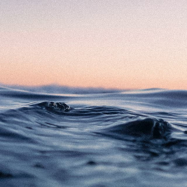 10 AM Wellness: Contemplating The Waves - Coastal Sounds