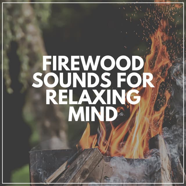 Firewood Sounds for Relaxing Mind - Fire Sounds Sleep