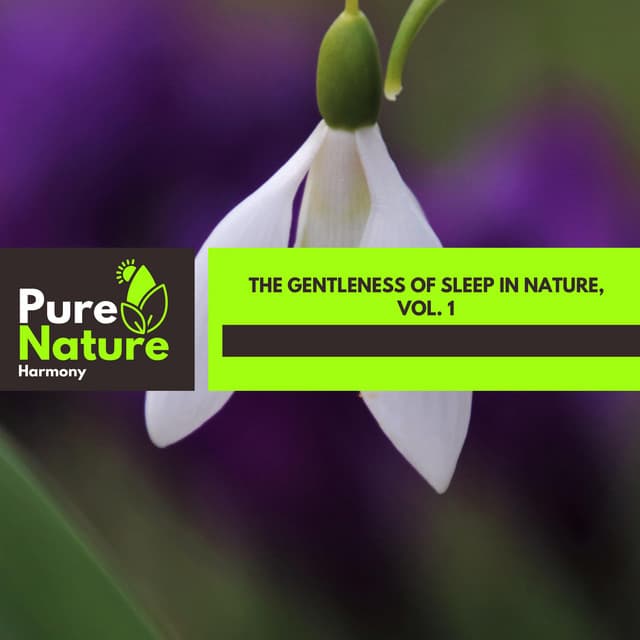 The Gentleness of Sleep in Nature, Vol. 1 - Nature Field Recordings