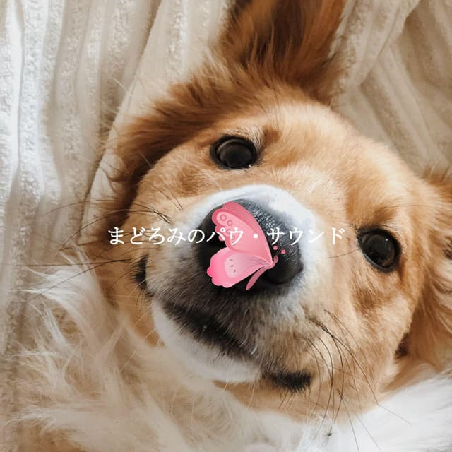 まどろみのパウ・サウンド - Relaxing Jazz Cafe