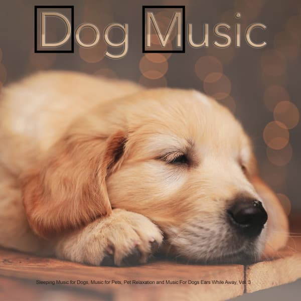 Dog Music: Sleeping Music for Dogs, Music for Pets, Pet Relaxation and Music For Dogs Ears While Away, Vol. 3 - Dog Music