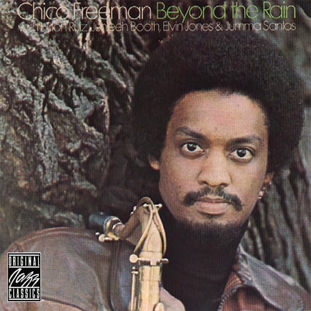Beyond The Rain - Chico Freeman