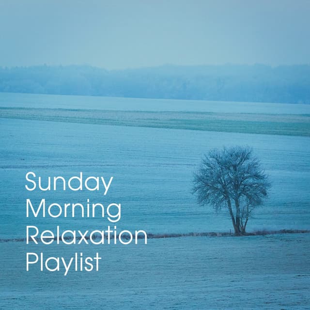 Sunday Morning Relaxation Playlist - Piano Relaxation Music Masters