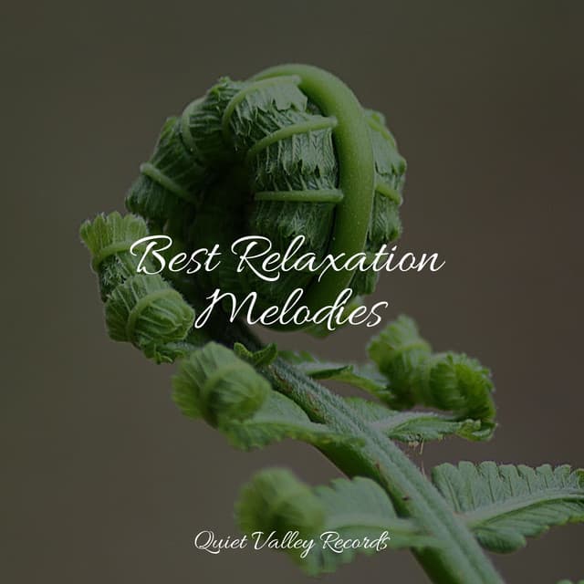 Best Relaxation Melodies - White Noise Sleep Sounds