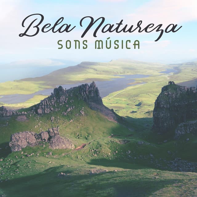 Música ambiental relajante