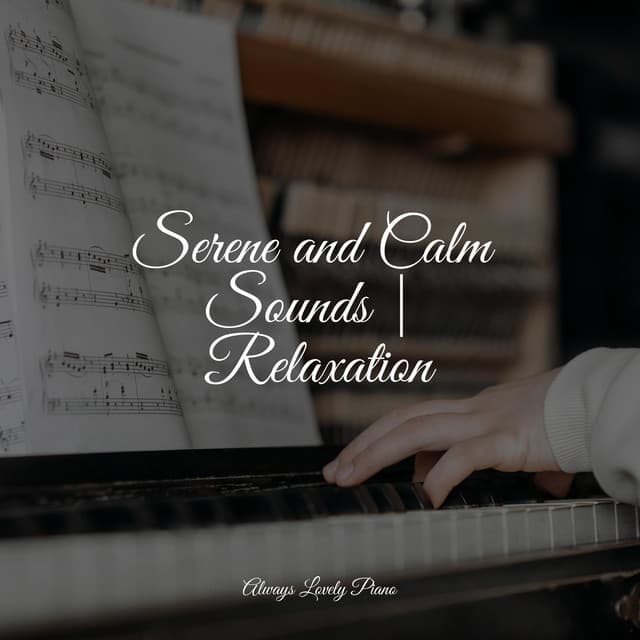 50 Tropical Songs for Deep Chillout & Relaxation - Study Piano