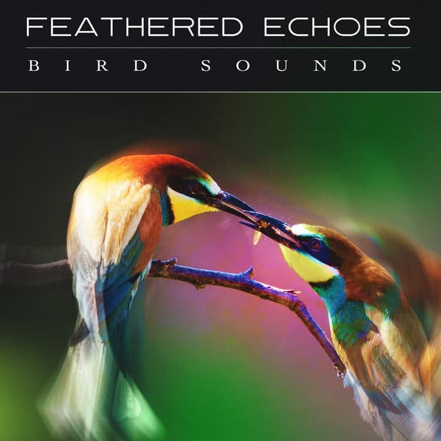 Feathered Echoes - Bird Sounds