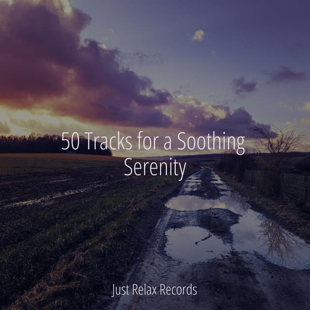 50 Tracks for a Soothing Serenity - kinderliedjes
