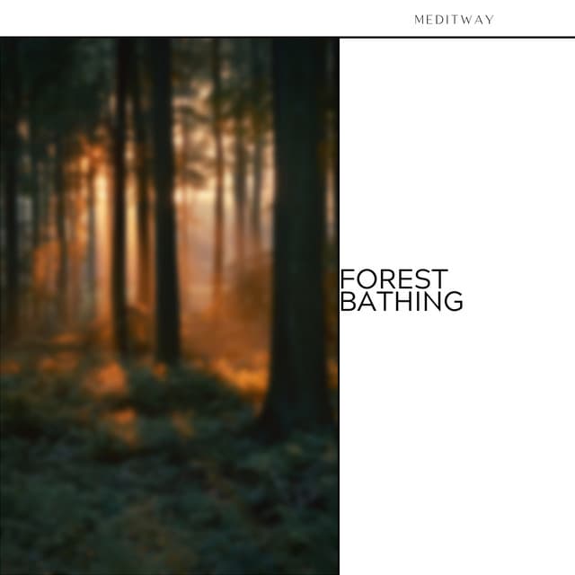 Forest Bathing: Reiki & Nature Sounds - Meditway