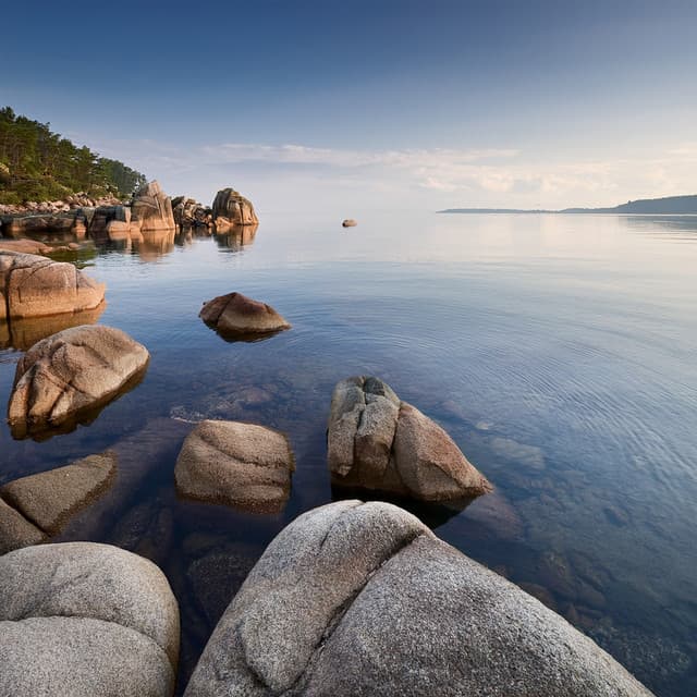 The Eternal Symphony: An Orchestra Of Timeless Beauty - Music Beats