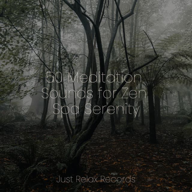 50 Meditation Sounds for Zen Spa Serenity - Chakra Balancing Sound Therapy