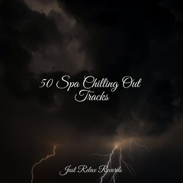50 Spa Chilling Out Tracks - Study Music & Sounds