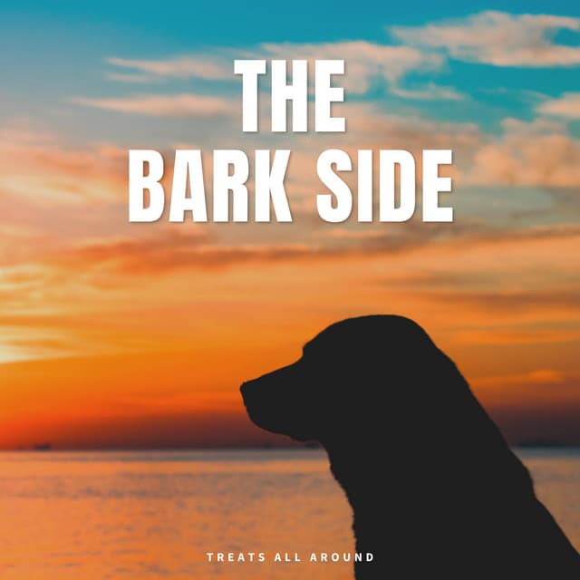 The Bark Side - Dog Sleep Academy