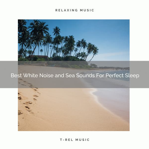 Best White Noise and Sea Sounds For Perfect Sleep - Astral Noise