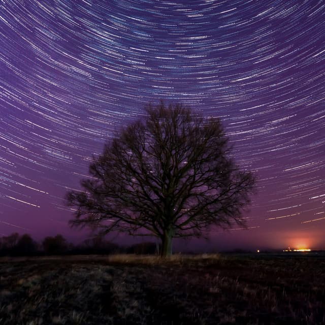 50 Ambient Songs: Echoes - White Noise