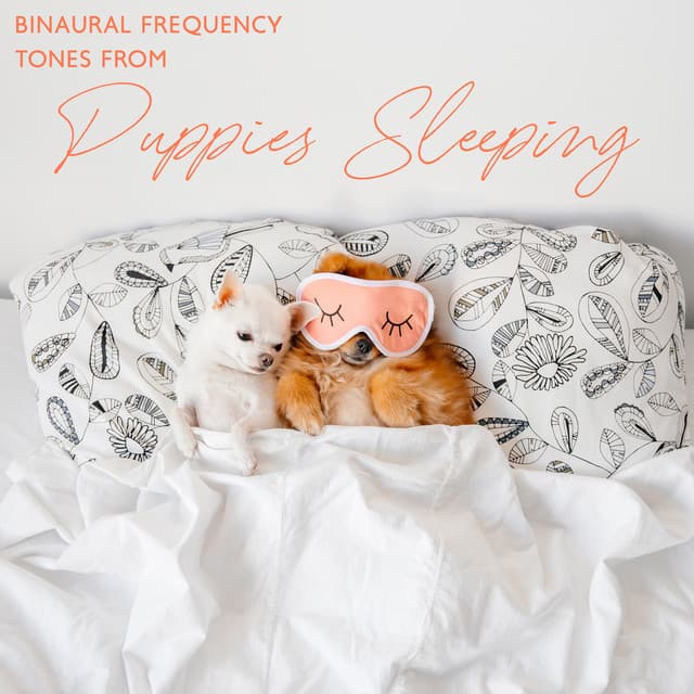 Binaural Frequency Tones from Puppies Sleeping: Behavioral Therapy for Dogs and Cats, Reduce Separation Anxiety, Calm Your Pets - Sofi Solfeggio