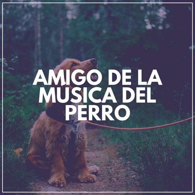 Amigo de la Música del Perro - Mascotas tranquilas