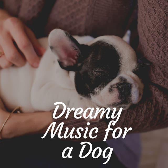 Dreamy Music for a Dog - Dog Relaxation