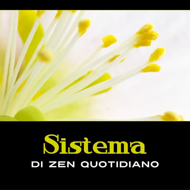 Sistema di zen quotidiano - Musicoterapia calmante, Yoga, kundalini e meditazione, Mente libera - Meditazione asiatica club