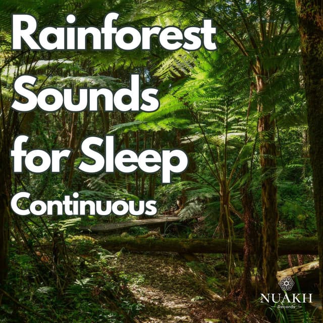 Rainforest Sounds for Sleep - Relaxing Rain Sounds