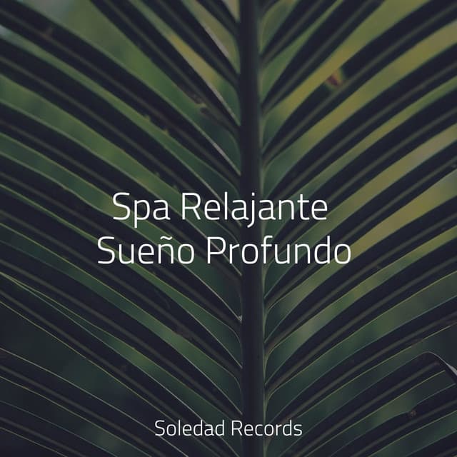 Spa Relajante Sueño Profundo - Sons da Natureza & Relaxamento